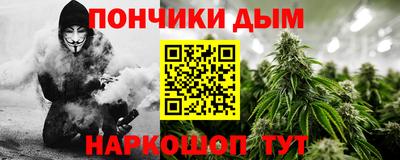 индика Бийск