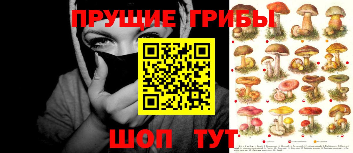 Калач-на-Дону  Галлюциногенные грибы MAGIC MUSHROOMS  Галлюциногенные грибы Psilocybe  Вход с VPN 